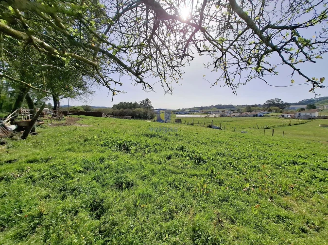 Terreno para Venda em Cela Foto 5