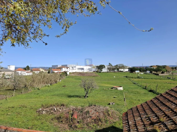 Terreno para Venda em Cela Foto 4