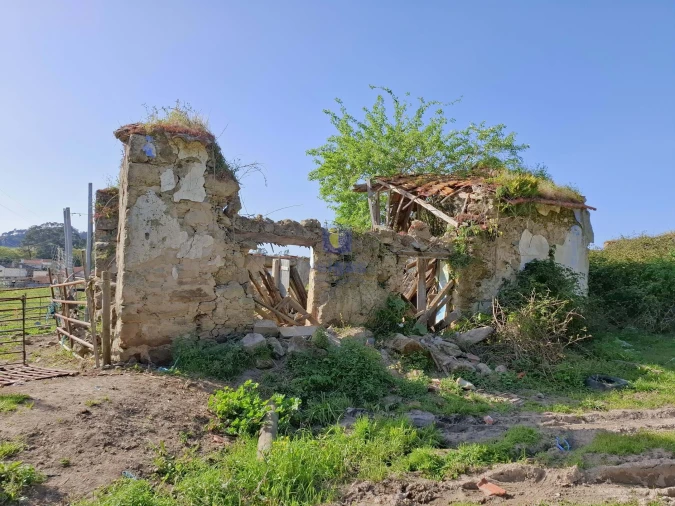 Terreno para Venda em Cela Foto 3
