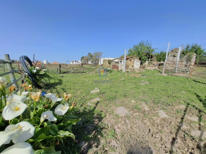 Terreno para Venda em Cela Foto 18