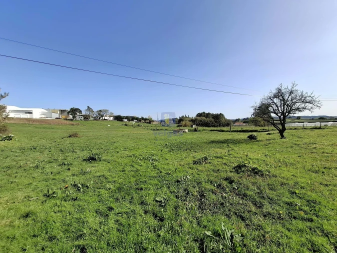 Terreno para Venda em Cela Foto 9