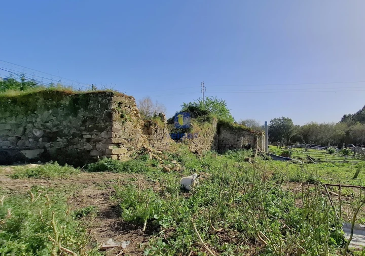 Terreno para Venda em Cela Foto 16