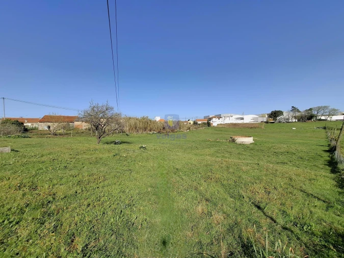 Terreno para Venda em Cela Foto 10