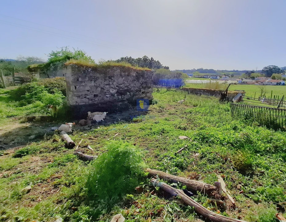 Terreno para Venda em Cela Foto 15