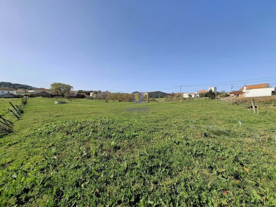 Terreno para Venda em Cela Foto 12