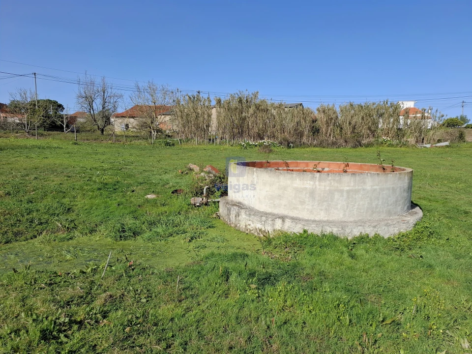 Terreno para Venda em Cela Foto 11