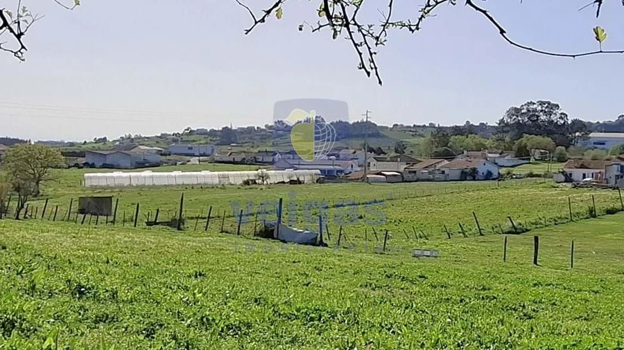 Terreno para Venda em Cela