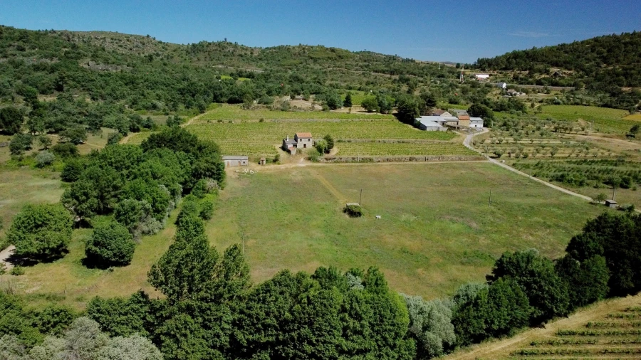 Terreno para Venda em Maçainhas Foto 8