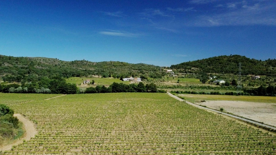 Terreno para Venda em Maçainhas Foto 5