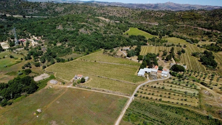 Terreno para Venda em Maçainhas Foto 3