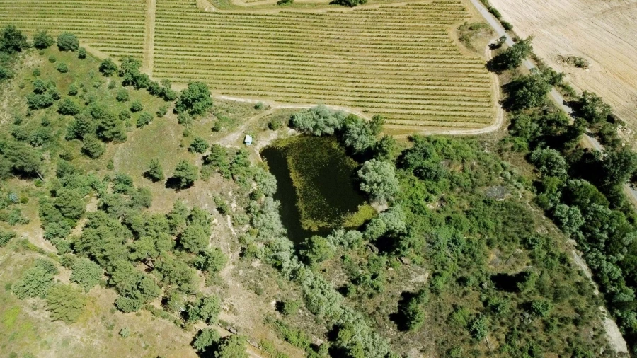 Terreno para Venda em Maçainhas Foto 12
