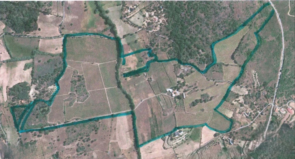 Terreno para Venda em Maçainhas Foto 14