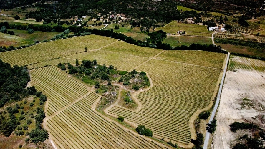 Terreno para Venda em Maçainhas Foto 10