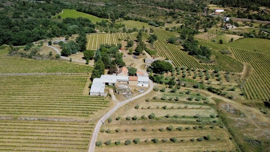 Terreno para Venda em Maçainhas Foto 2