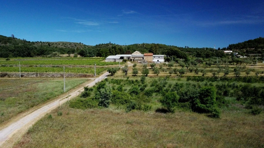Terreno para Venda em Maçainhas Foto 4