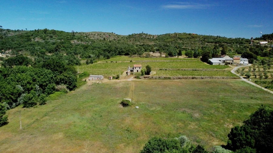 Terreno para Venda em Maçainhas Foto 6