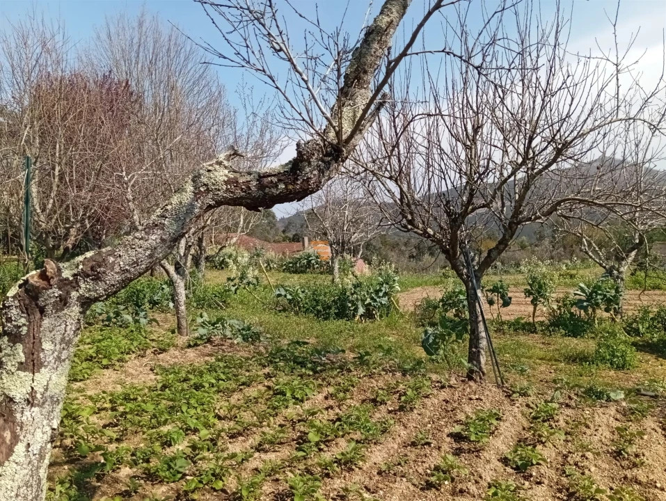 Quinta T0 para Venda em Aguiar de Sousa Foto 30
