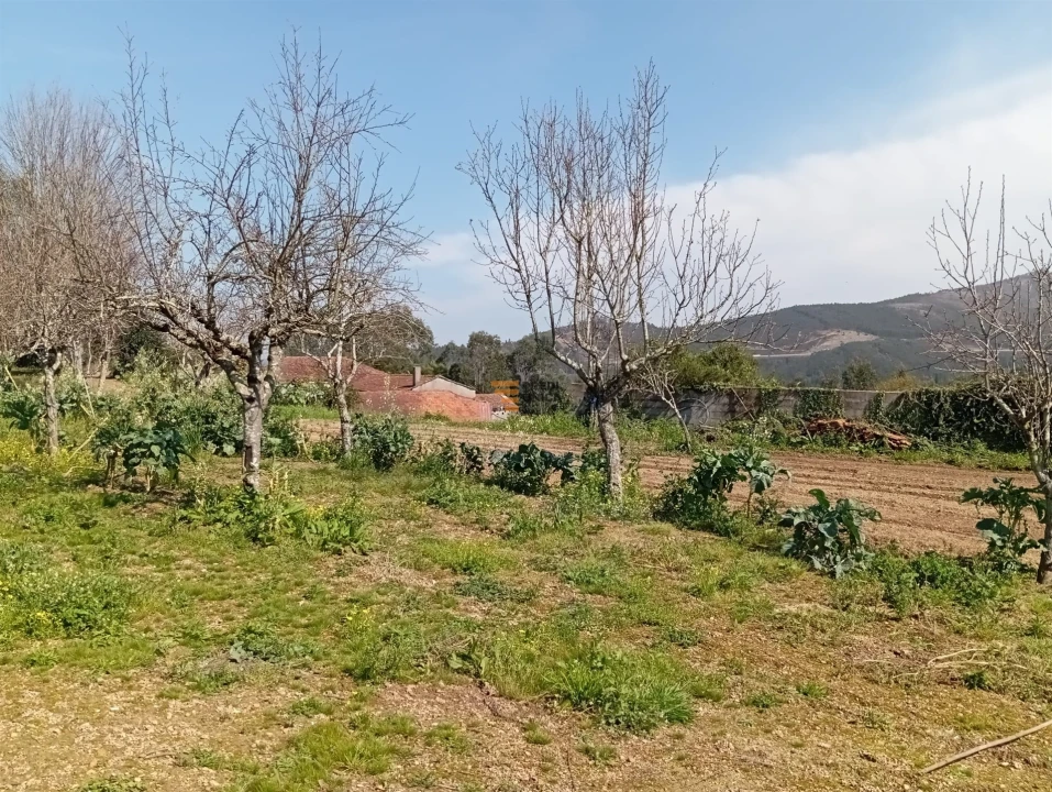 Quinta T0 para Venda em Aguiar de Sousa Foto 33