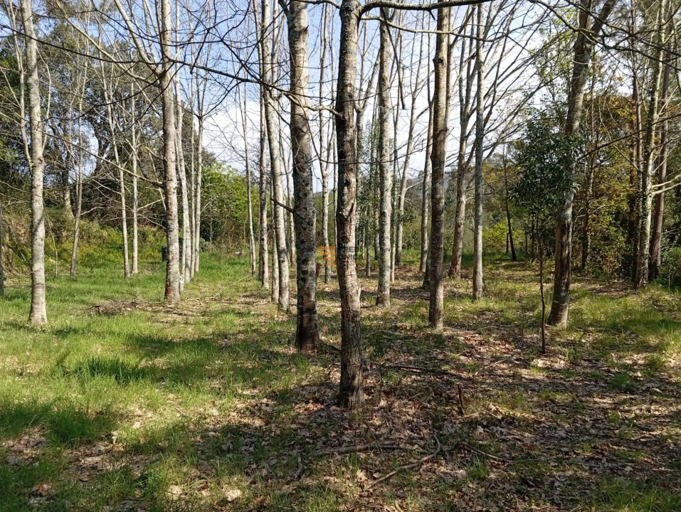 Quinta T0 para Venda em Aguiar de Sousa Foto 42
