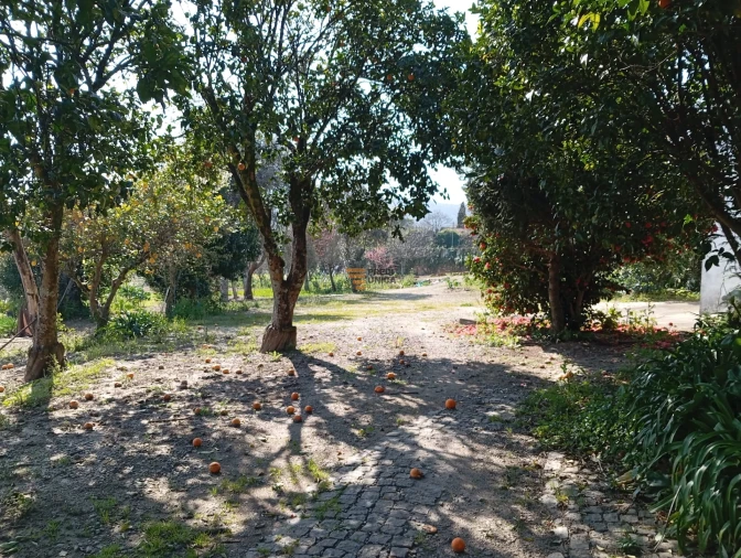 Quinta T0 para Venda em Aguiar de Sousa Foto 28