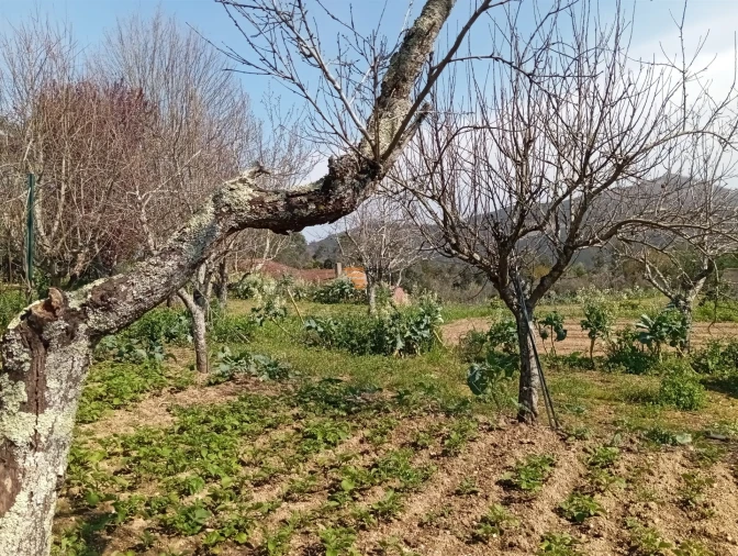 Quinta T0 para Venda em Aguiar de Sousa Foto 30