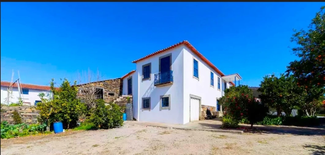 Quinta T0 para Venda em Aguiar de Sousa Foto 3