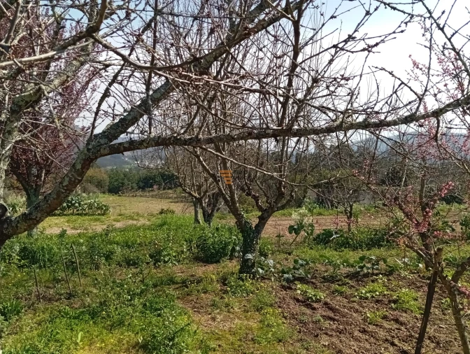 Quinta T0 para Venda em Aguiar de Sousa Foto 37