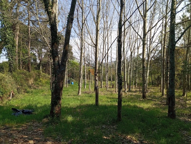 Quinta T0 para Venda em Aguiar de Sousa Foto 40
