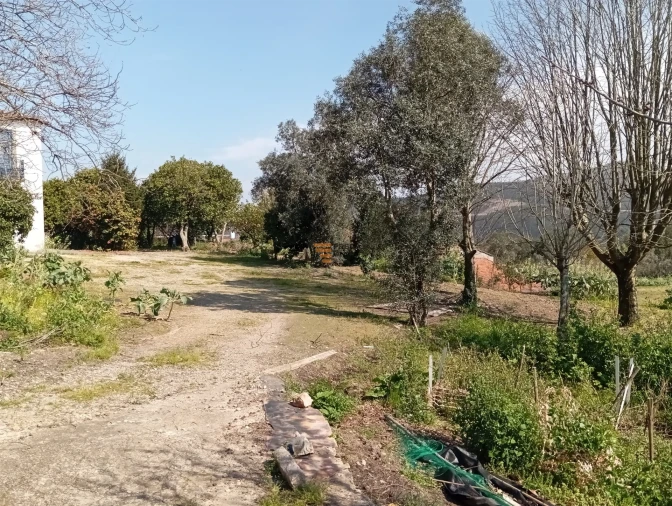 Quinta T0 para Venda em Aguiar de Sousa Foto 31