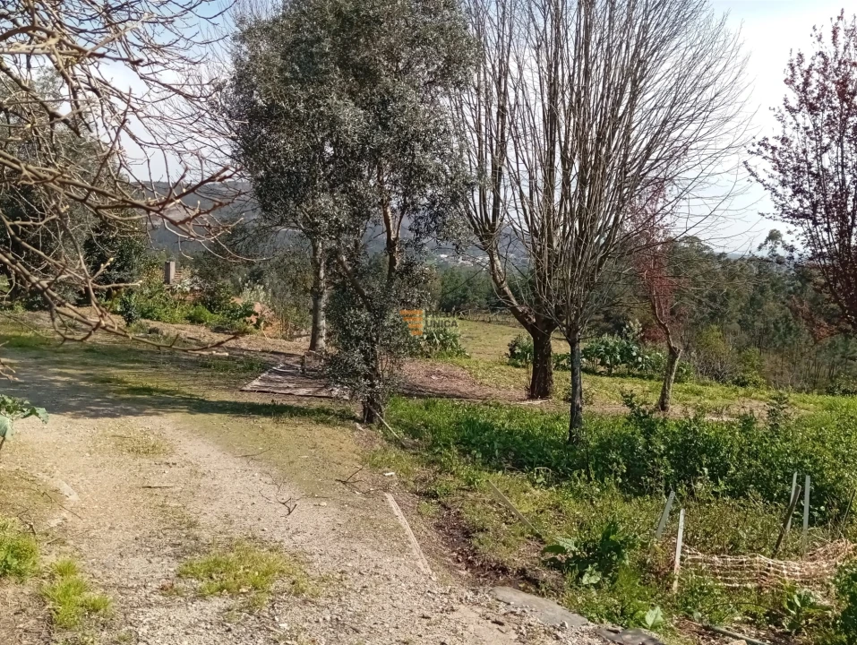 Quinta T0 para Venda em Aguiar de Sousa Foto 32