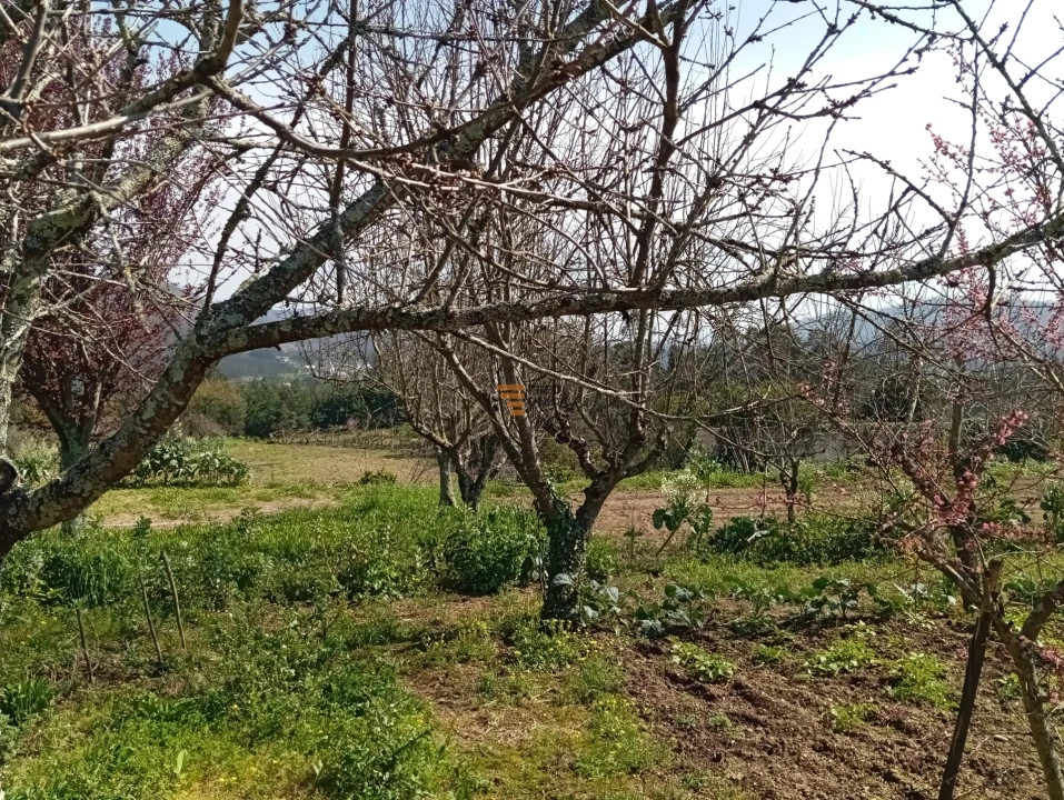 Quinta T0 para Venda em Aguiar de Sousa Foto 37