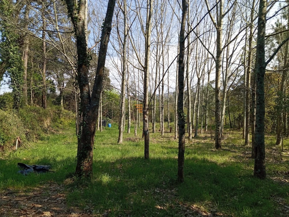 Quinta T0 para Venda em Aguiar de Sousa Foto 40