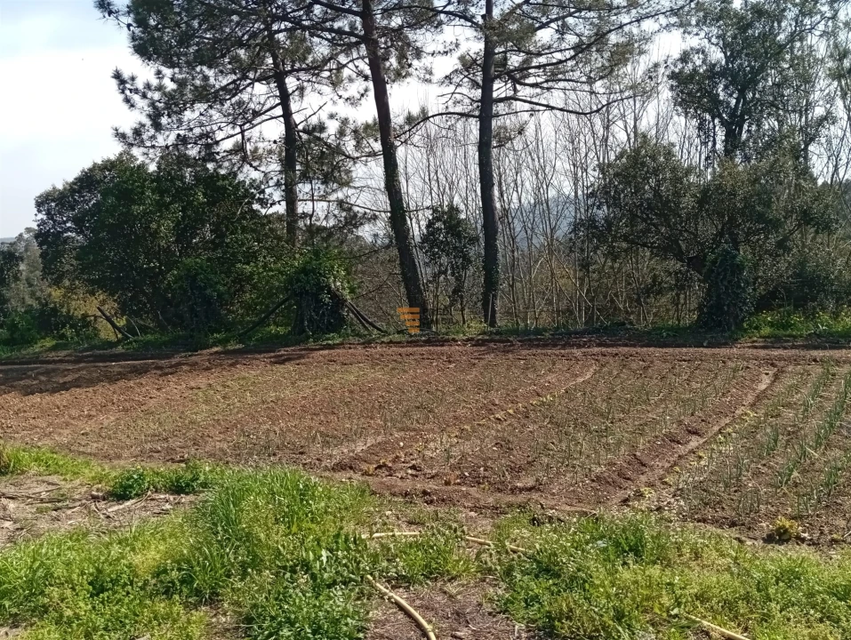 Quinta T0 para Venda em Aguiar de Sousa Foto 34