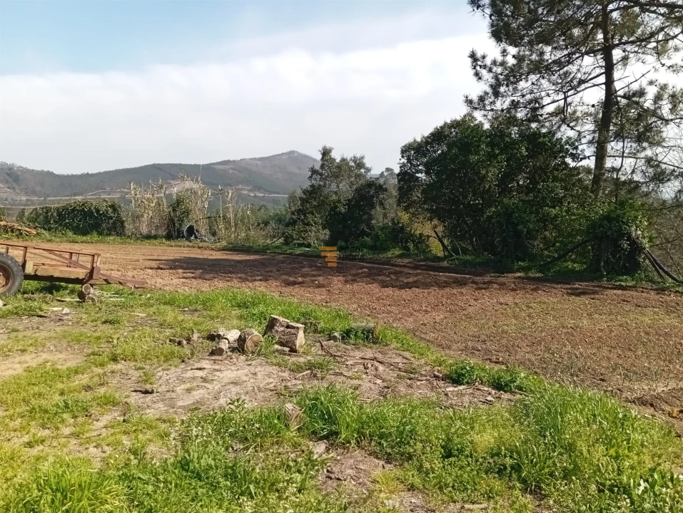 Quinta T0 para Venda em Aguiar de Sousa Foto 35