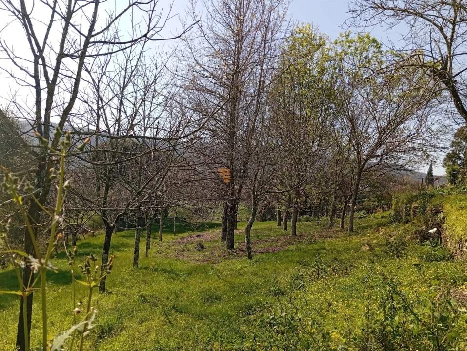 Quinta T0 para Venda em Aguiar de Sousa Foto 41