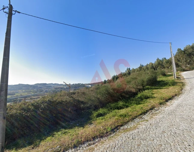 Terreno Agricola ou Rústico para Venda em Figueiras e Covas Foto 3