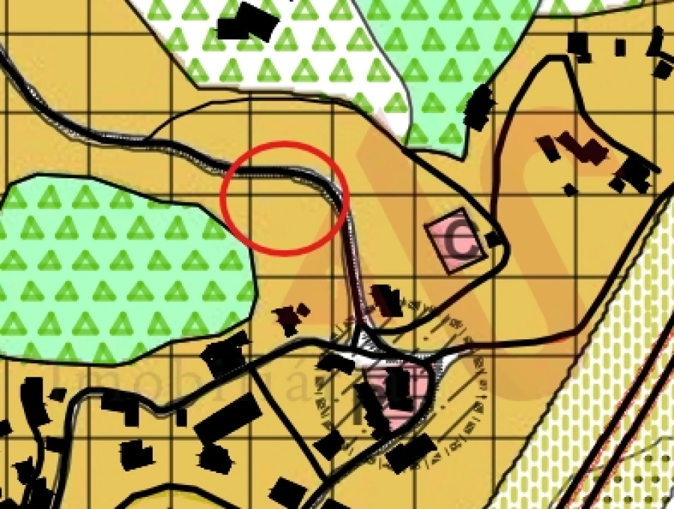 Terreno Agricola ou Rústico para Venda em Figueiras e Covas Foto 5