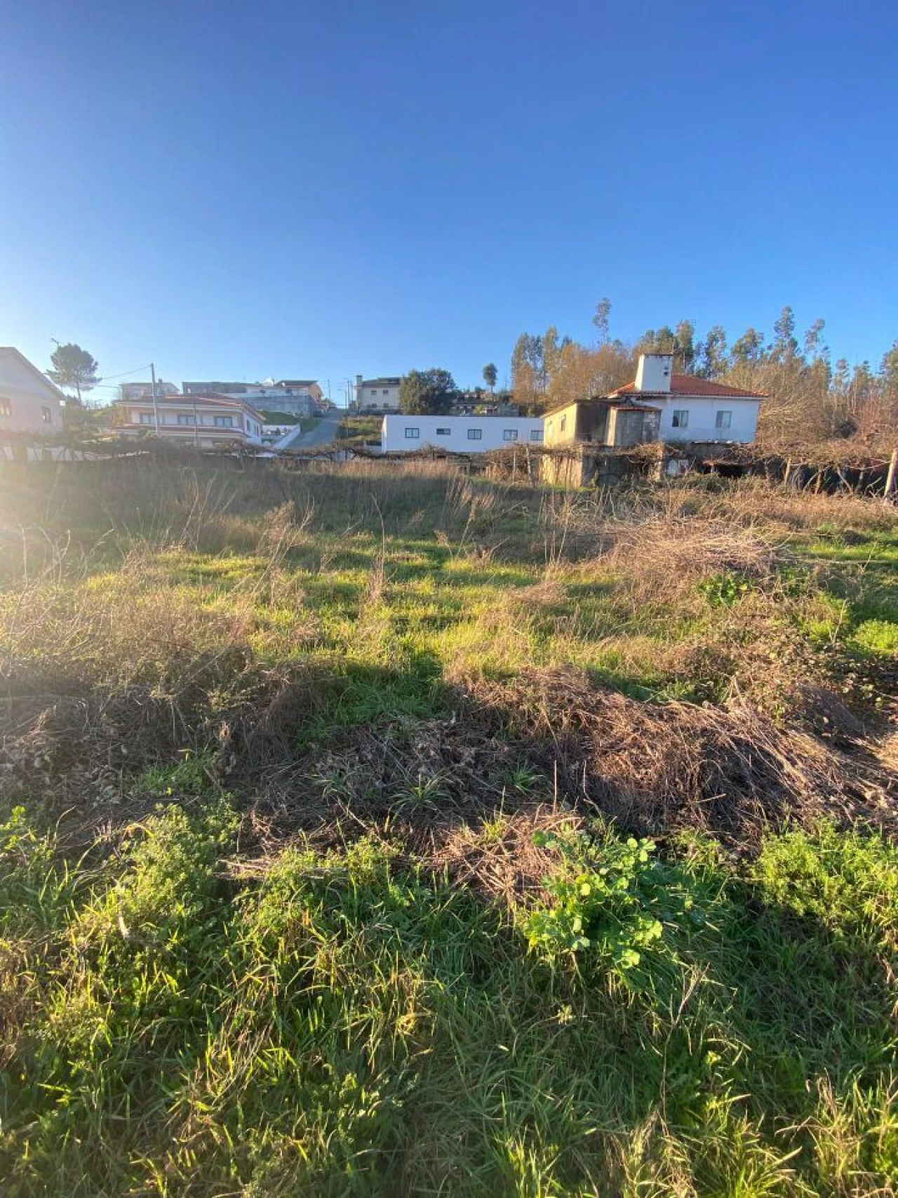 Quinta T3 para Venda em Meinedo Foto 5