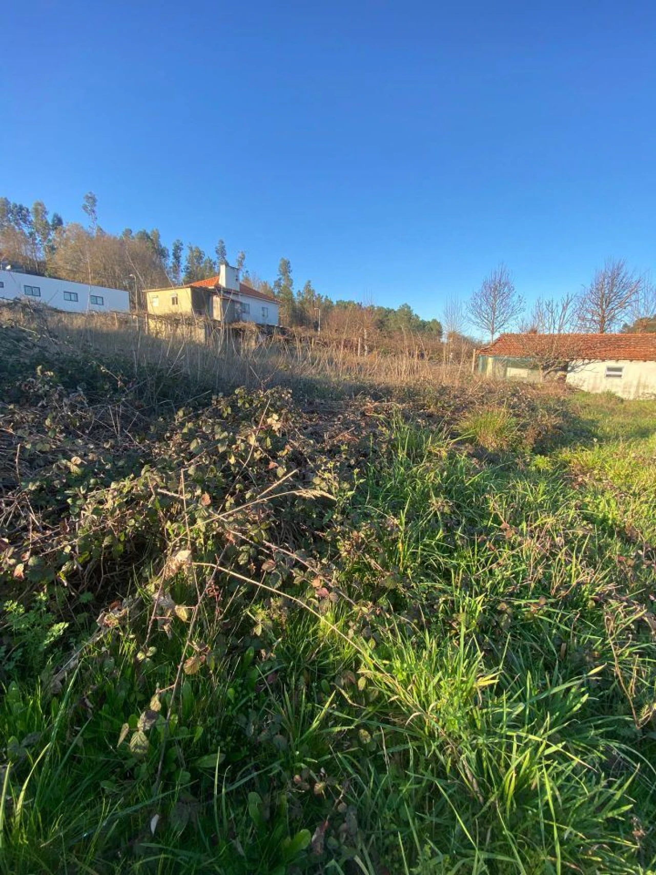 Quinta T3 para Venda em Meinedo Foto 6