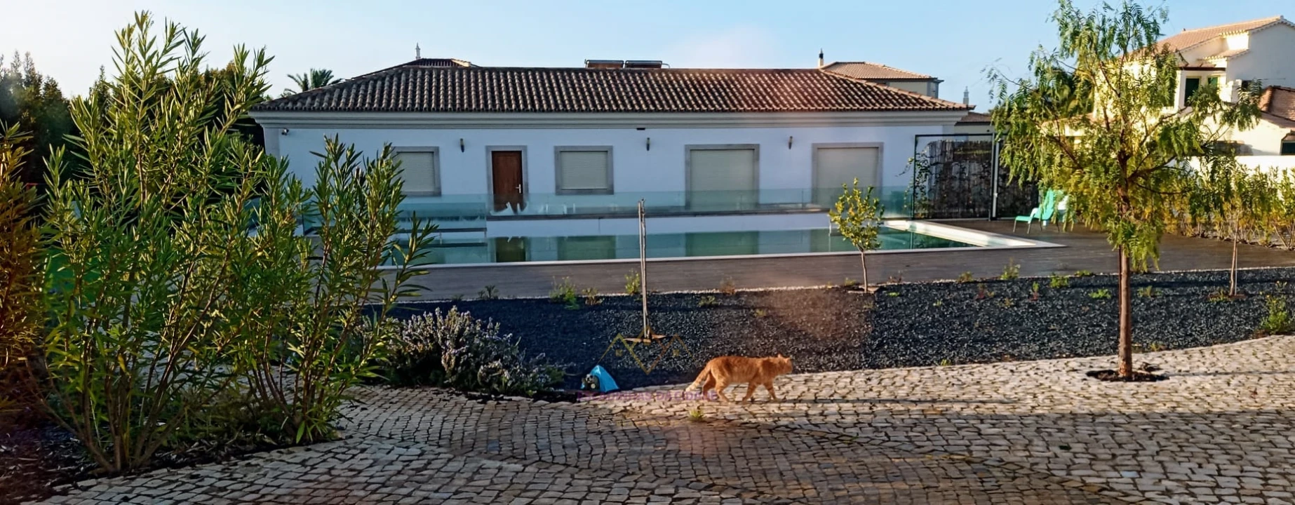 Moradia T4 para Venda em Quelfes Foto 29