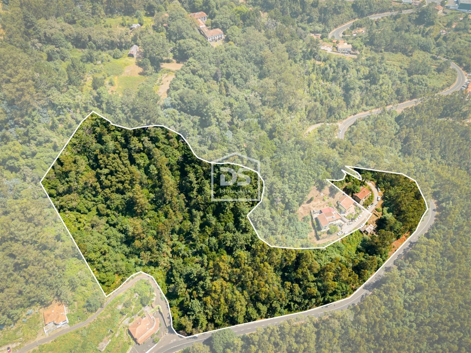 Terreno para Venda em Camacha Foto 8