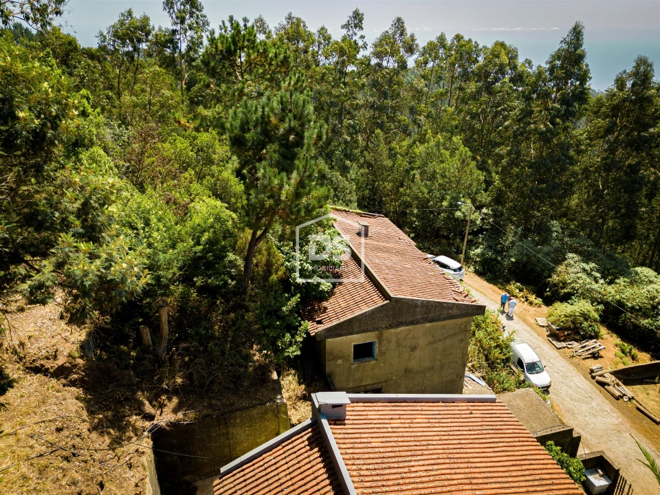 Terreno para Venda em Camacha Foto 19