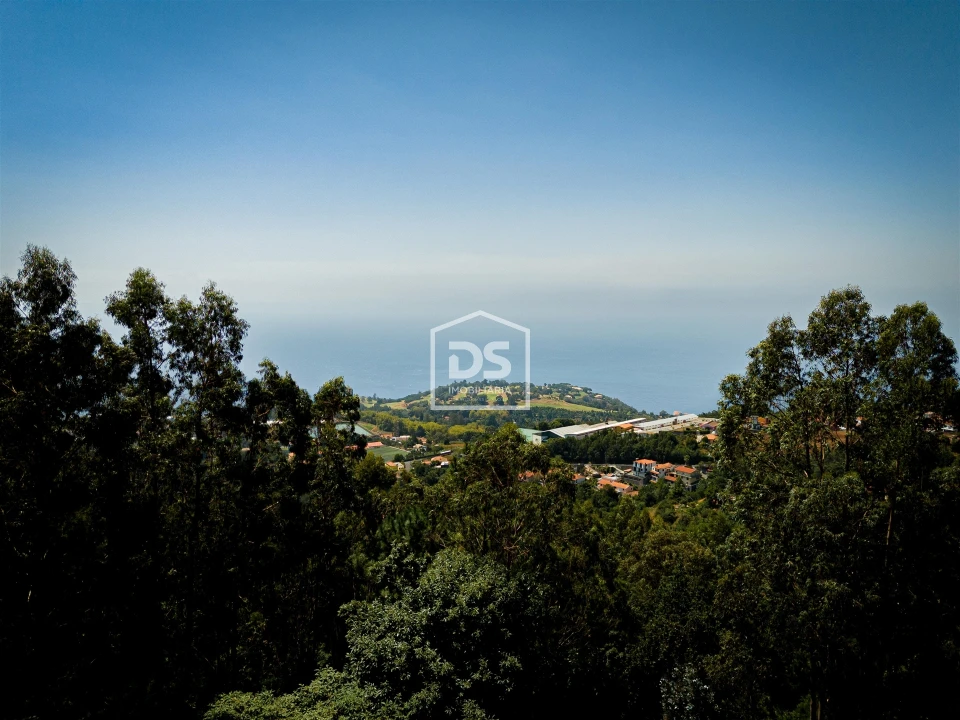 Terreno para Venda em Camacha Foto 24