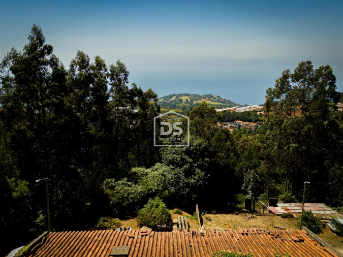 Terreno para Venda em Camacha