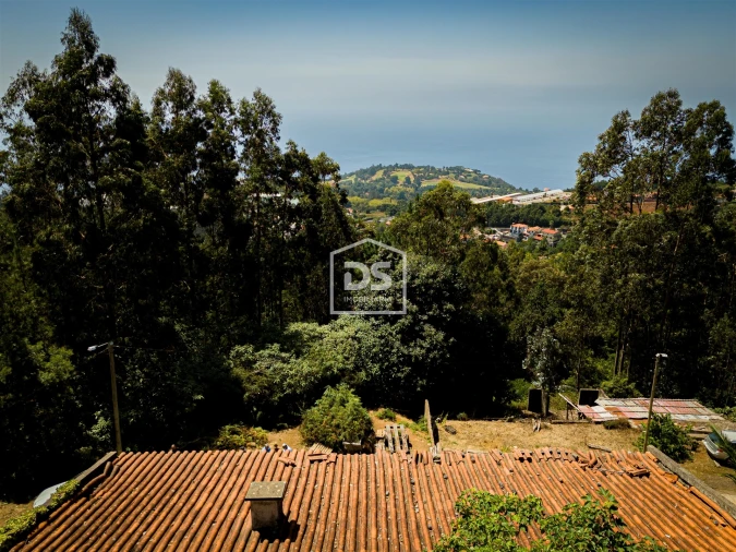 Terreno para Venda em Camacha Foto 25