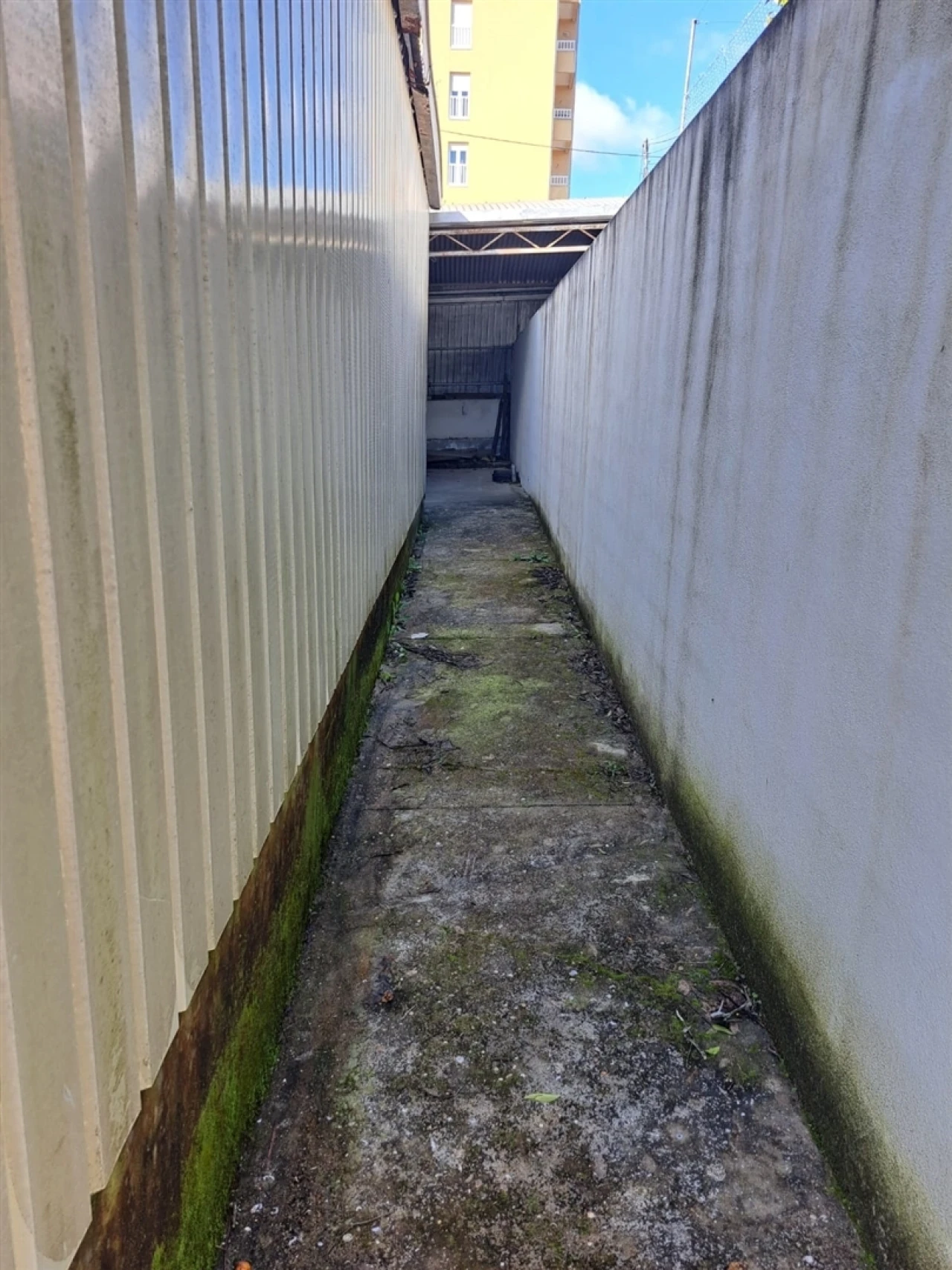 Armazém para Venda em São João da Madeira Foto 10