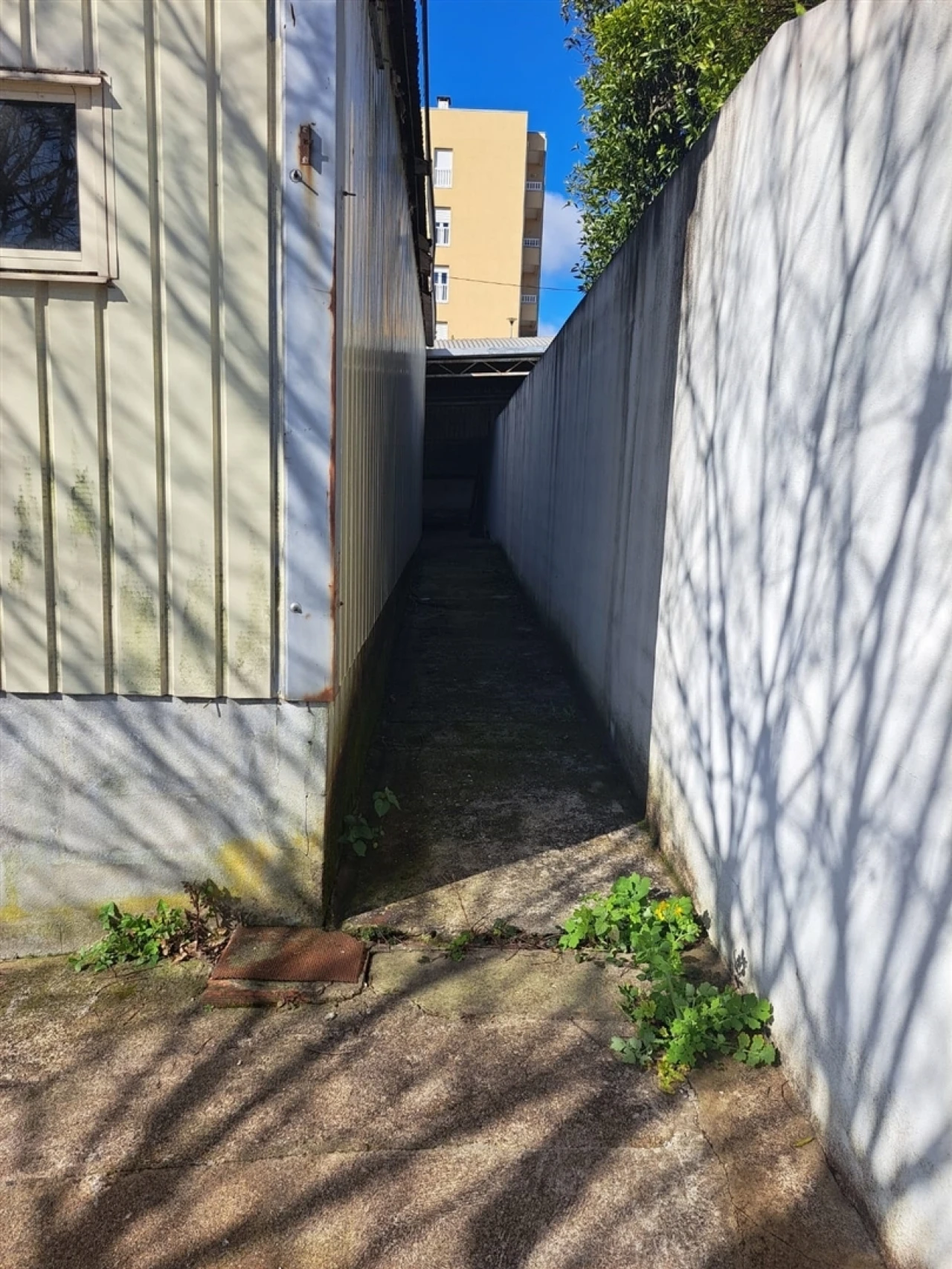 Armazém para Venda em São João da Madeira Foto 14