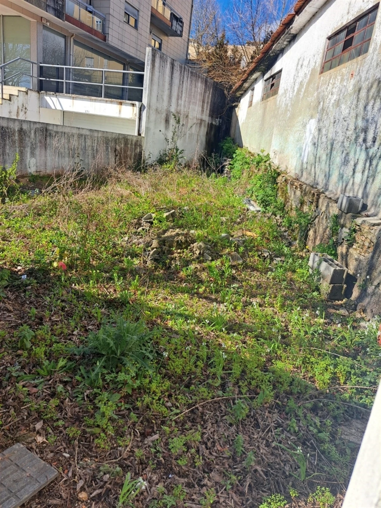 Armazém para Venda em São João da Madeira Foto 17