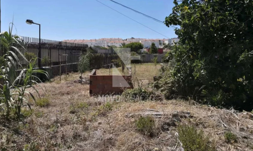 Terreno para Venda em Ajuda Foto 4