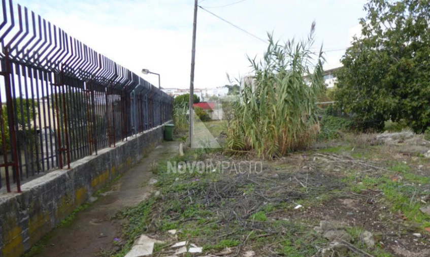 Terreno para Venda em Ajuda Foto 7